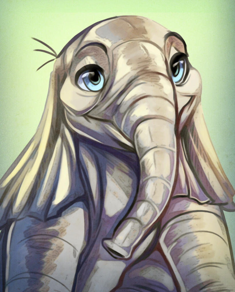 Baby Elephant